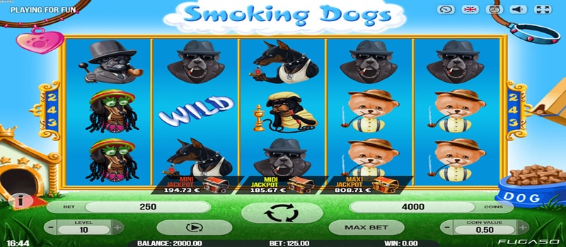 jackpott för rökande hundar